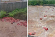 Video: 3,000 gas cylinders float in river after floodwaters breach HPCL plant